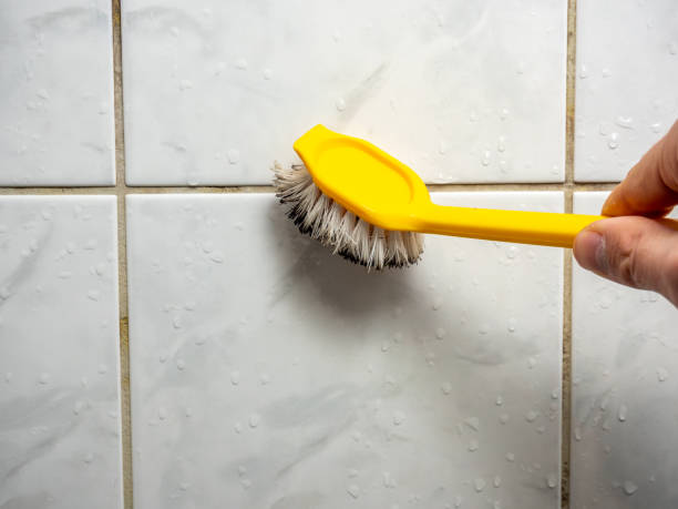 Best Professional Mold Removal  in El Segundo, CA