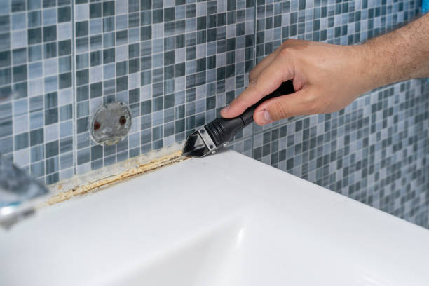 Best Same-Day Mold Removal  in El Segundo, CA